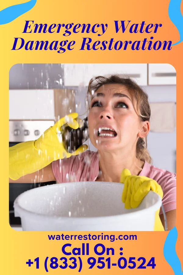 Emergency Water Damage Restoration in Westport Village, CT