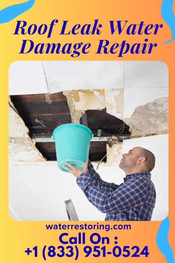 Roof Leak Water Damage Repair in Westport Village, CT