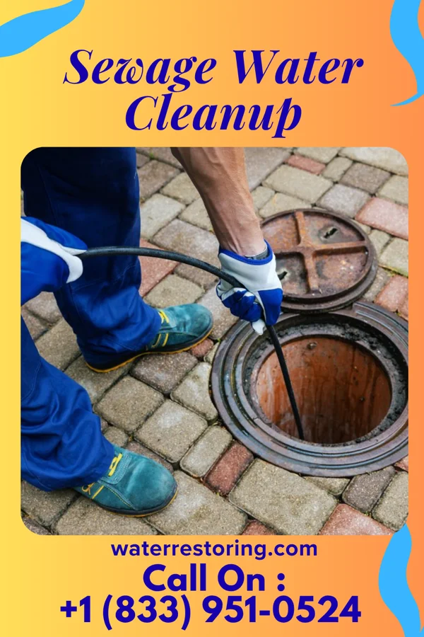 Sewage Water Cleanup in Westport Village, CT
